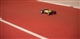 21682335_1468338289882298_898553648_o