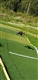 Screenshot_20190929-021102_Gallery