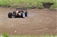 Race in Riedenburg