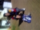 IMG-20120702-01737