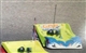 2006 with kyosho