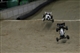 1492762_10152127851117040_11672620_o
