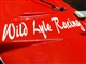Wild LYLE Racing Name