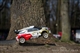 Citroen DS3 WRC